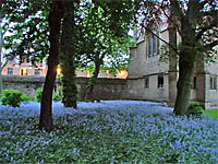 Wadham College Cloisters